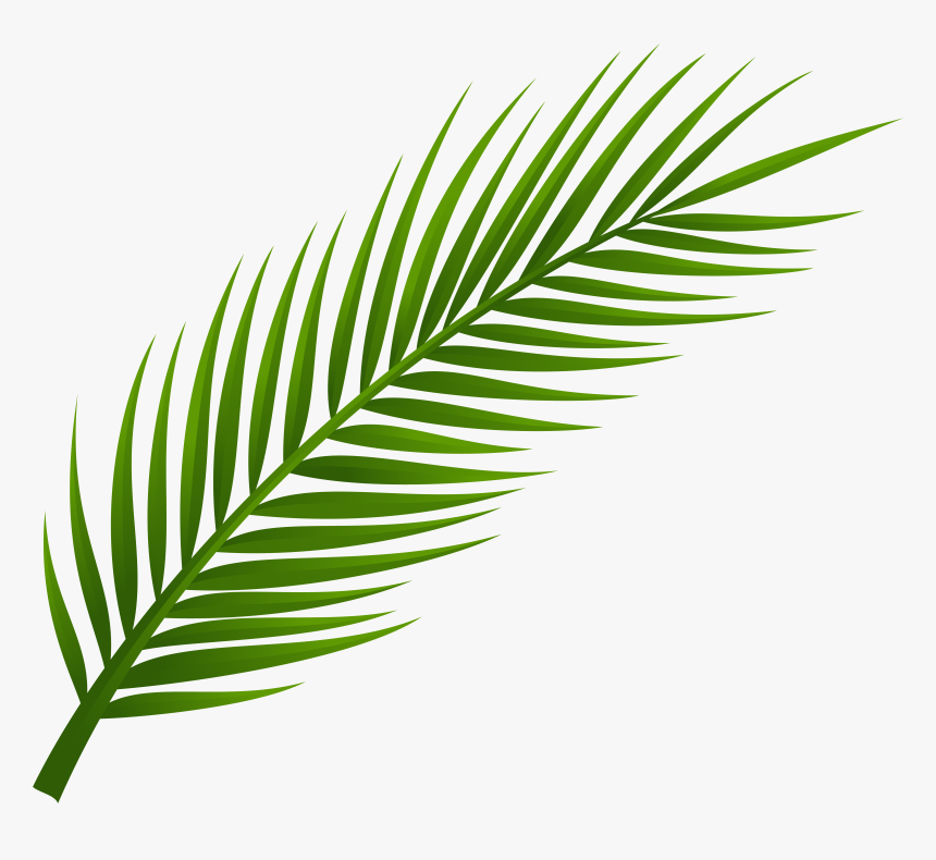 Tree Png Clip Art, Transparent Png