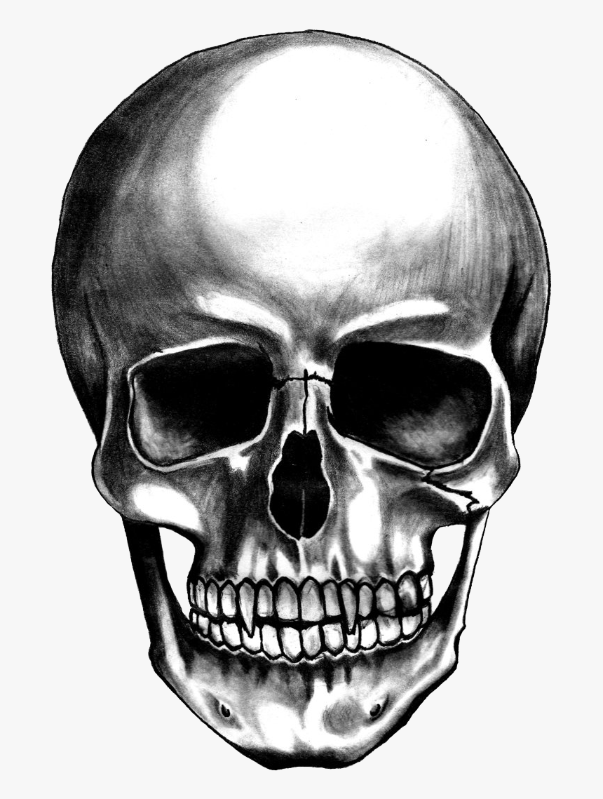 Skull Transparent Png, Png Download