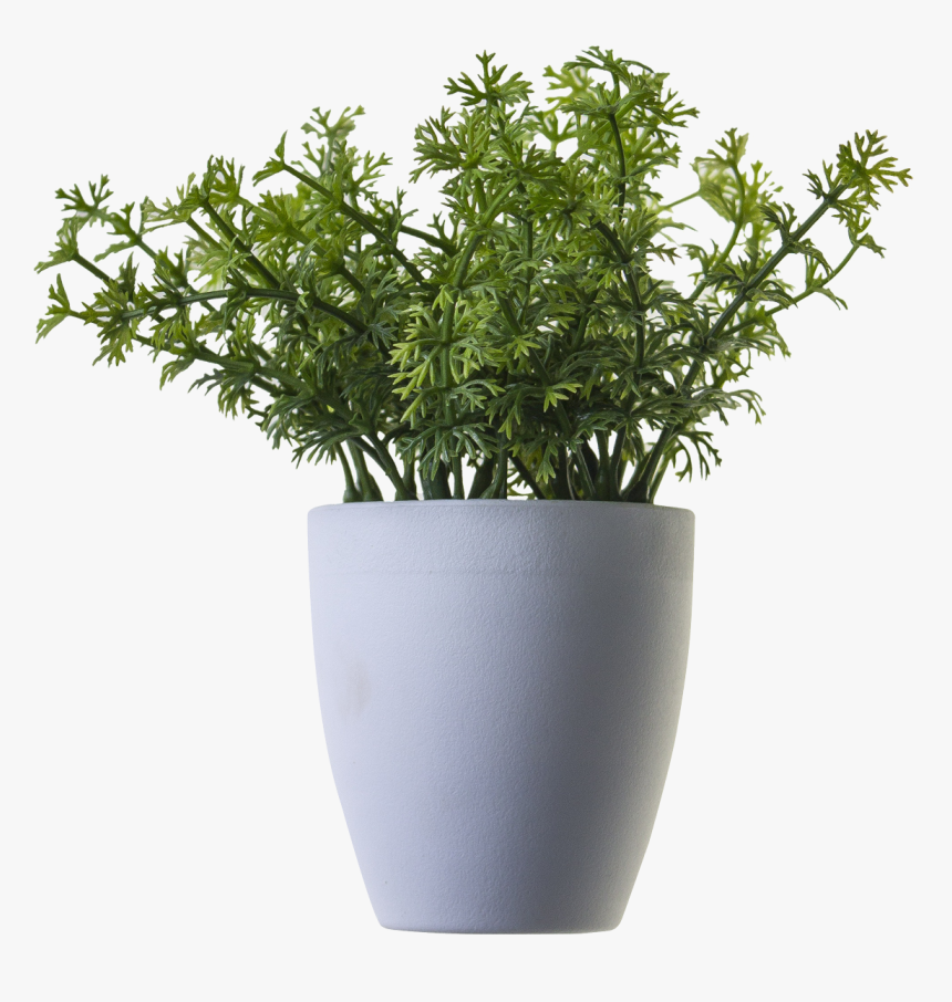 Free Icons Png - Transparent Potted Plant Png, Png Download