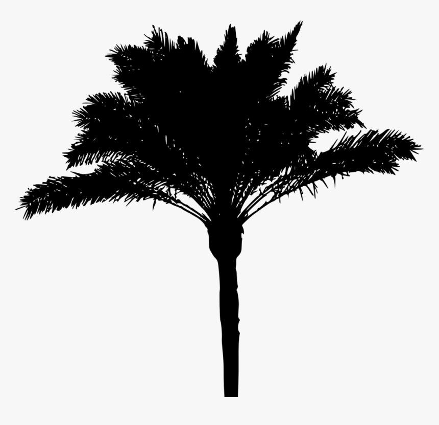 Palm Tree Silhouette Png, Transparent Png