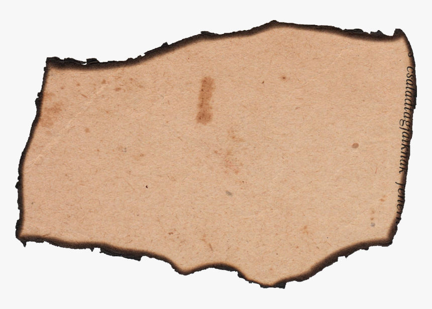 Paper Png World Of Label 13 Burnt Paper Label Banner - Tan, Transparent Png
