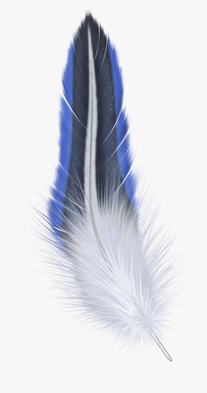 Feather Png - Transparent Background Png Format Feather Png, Png Download