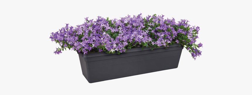 Elho Green Basics Balcony Pot Holder Set 20 Cm Cherry, HD Png Download