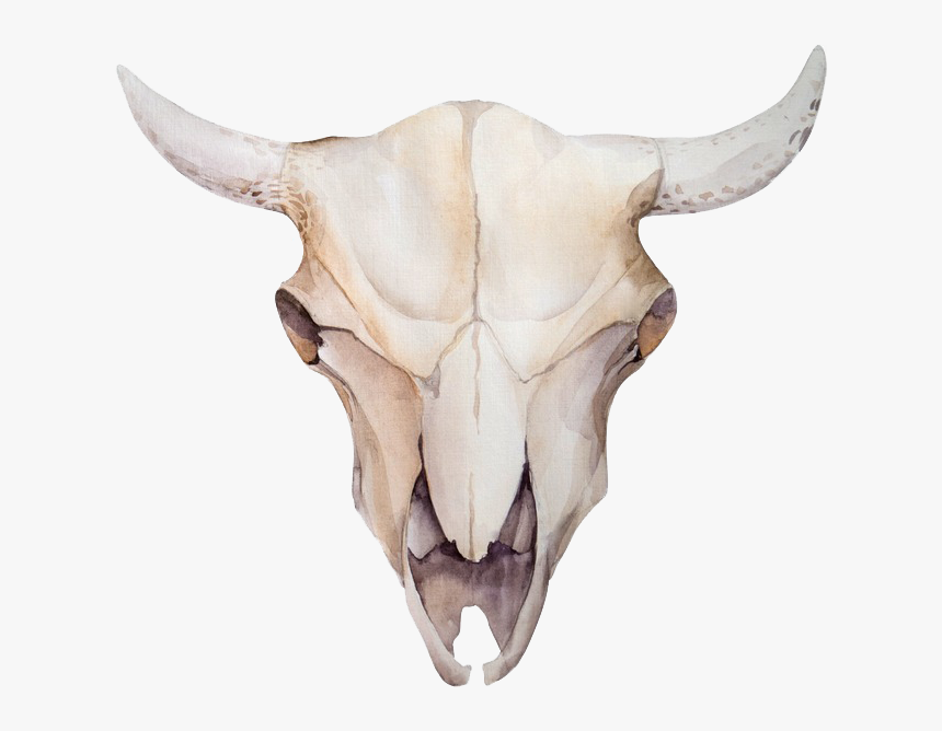 Flower Crown Bull Skull, HD Png Download