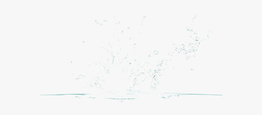 Rain Transparent Png - Bird, Png Download