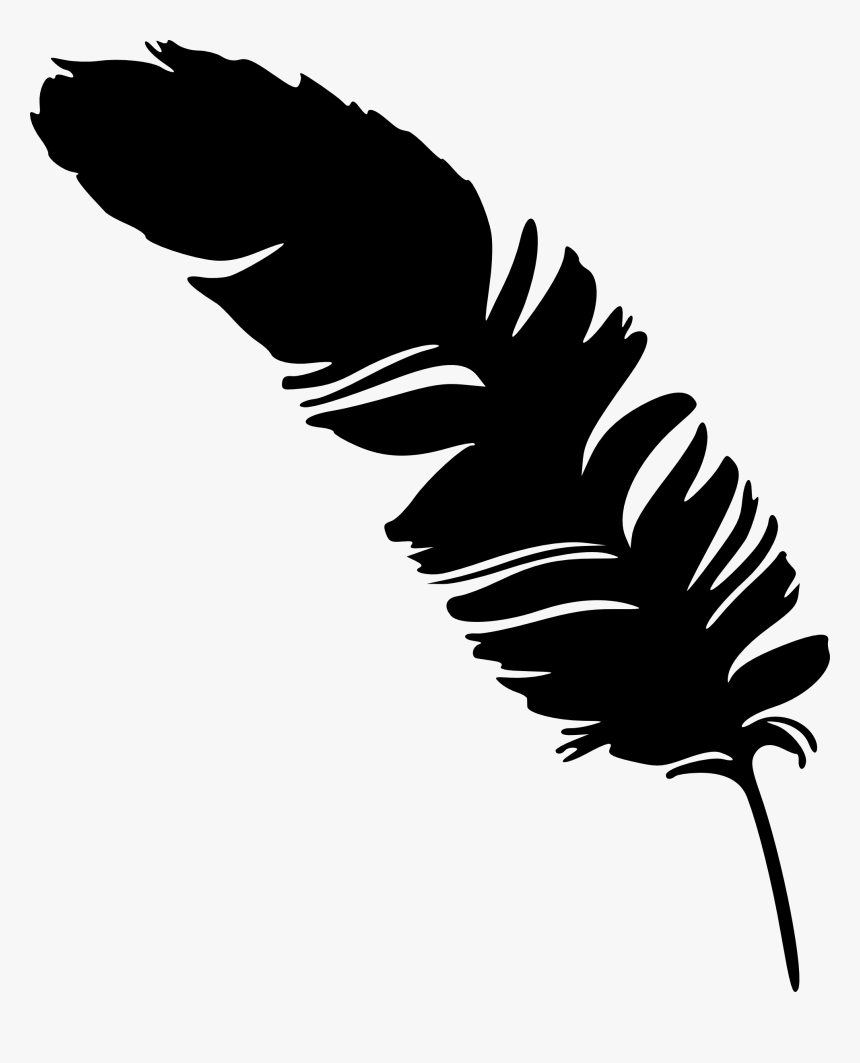 Transparent Background Feather Png Vector, Png Download