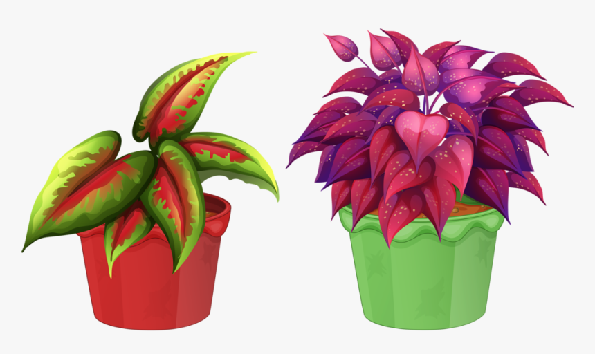 8 Garden Clipart, Flower Pots, Flowers, Views Album, - Flower In Pot Png, Transparent Png