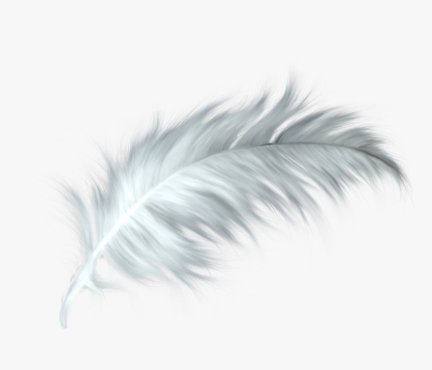 White Feather Healing Quill Paris - White Feather Png Transparent, Png Download