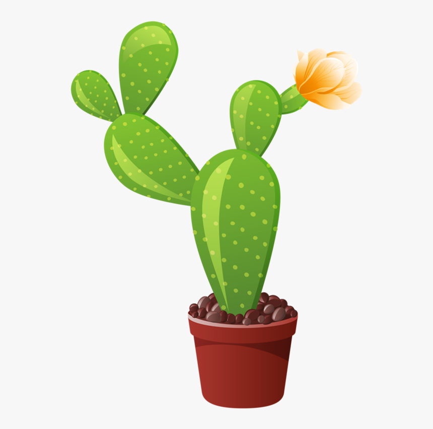 1 Indoor Flowers, Flower Pots, Cactus Art, Flower Clipart, - Different Types Of Cactus, HD Png Download
