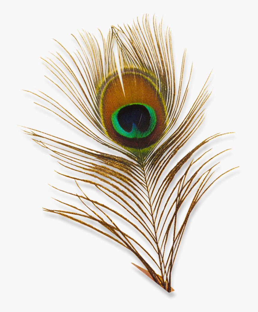 Png Designs For Photoshop, Transparent Png