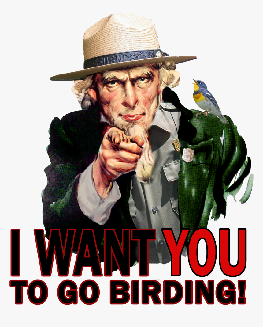Breeding Landbird Volunteer Opportunities - Want You Clip Art, HD Png Download