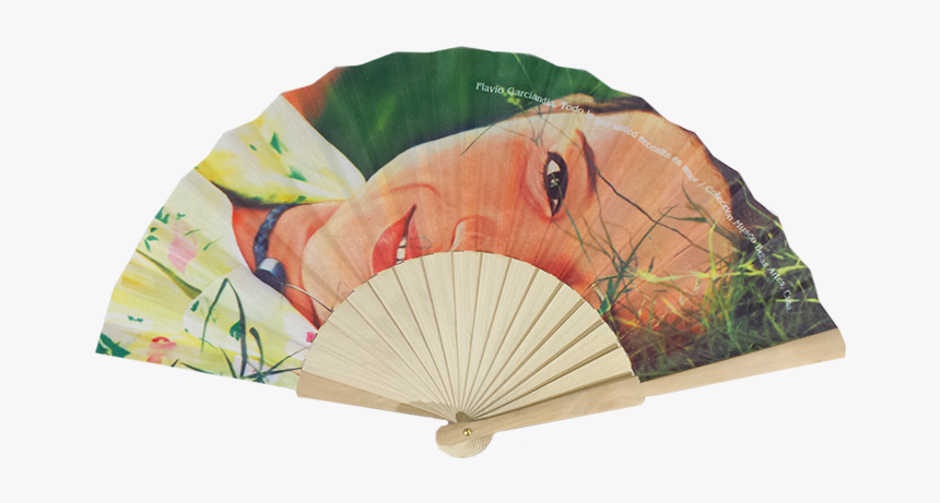 Decorative Fan, HD Png Download