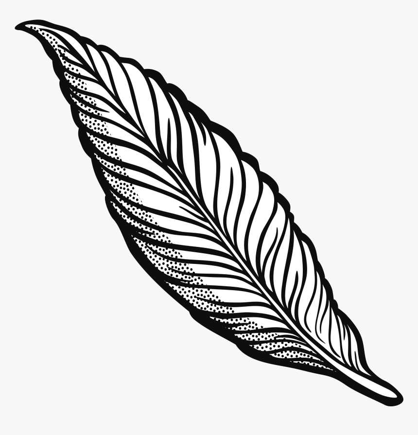 Lineart Clip Arts - Transparent Feather Clipart, HD Png Download