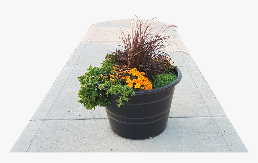Flowerpot, HD Png Download