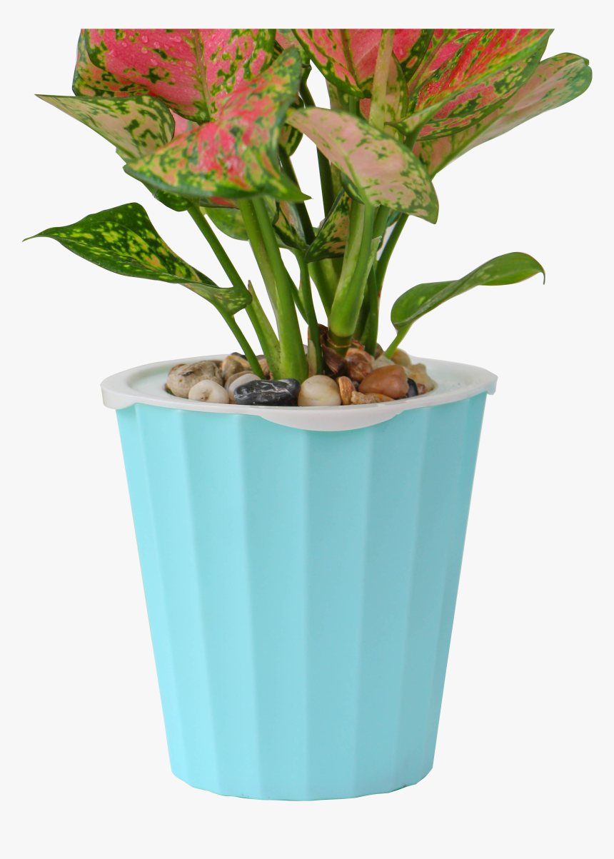 Cheap Fiber Clay Cement Vertical Garden Large Flower - Flowerpot, HD Png Download