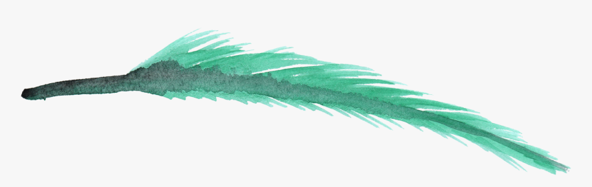 Watercolor Feather Transparent Background, HD Png Download
