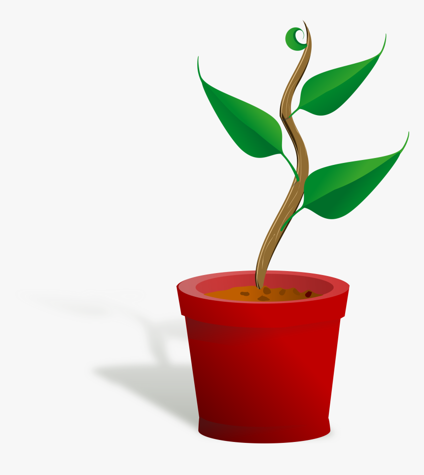 Clip Art Library Huge Freebie - Getting To Know Plants, HD Png Download