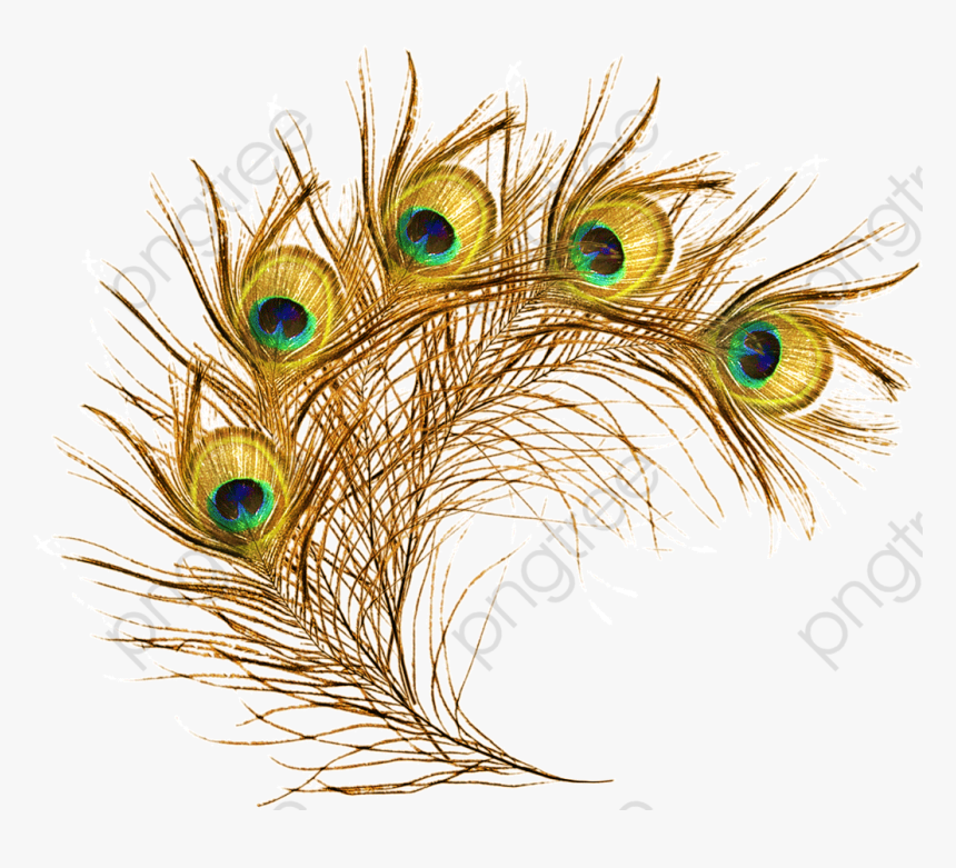 Transparent Transparent Eye Png - Krishna Transparent Peacock Feather Png, Png Download