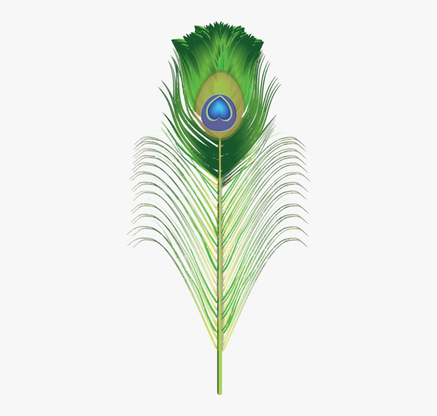 Peacock Brush For Adobe Illustrator Green Png Png Images - Transparent Peacock Png Feather, Png Download