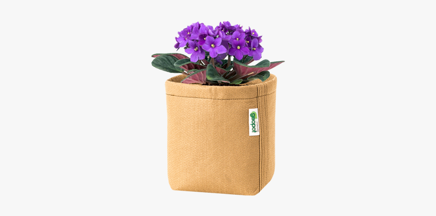 Flower In A Pot, HD Png Download