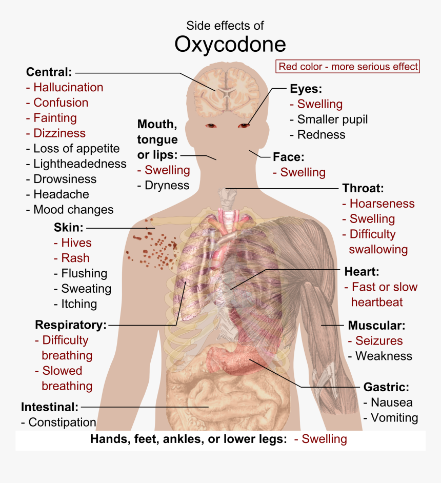 Side Effects Of Oxycodone - Oxycodone Side Effects, HD Png Download