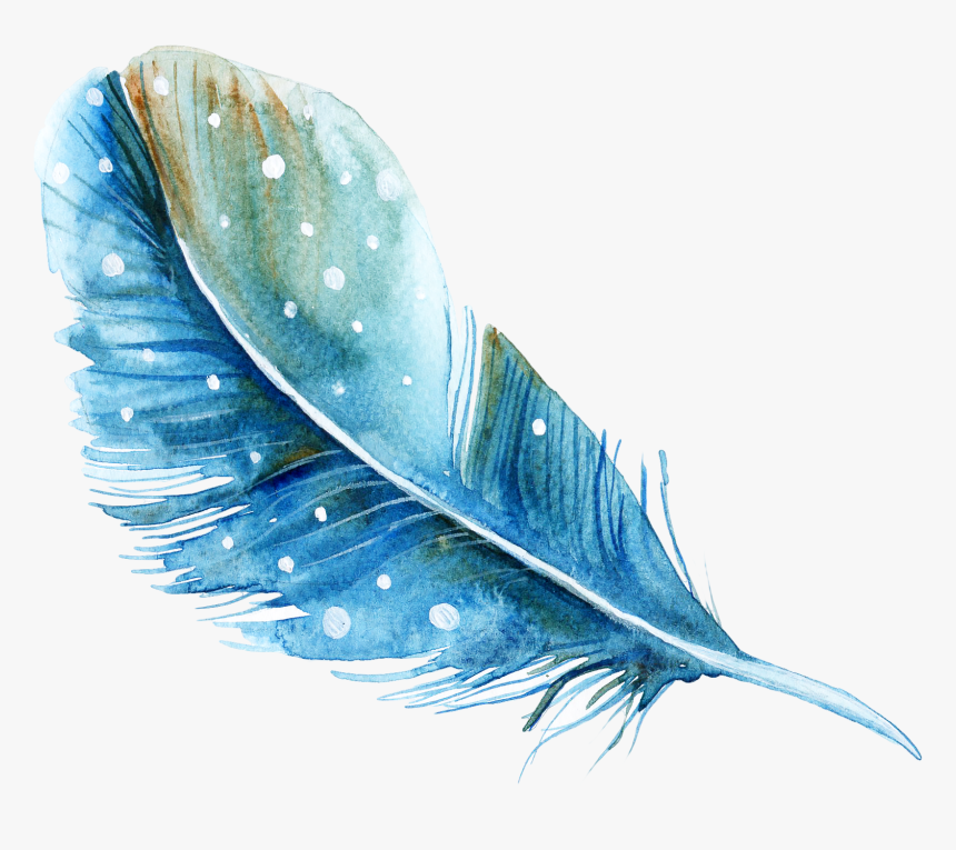 Feather Watercolor Painting - Feather Watercolor Png, Transparent Png