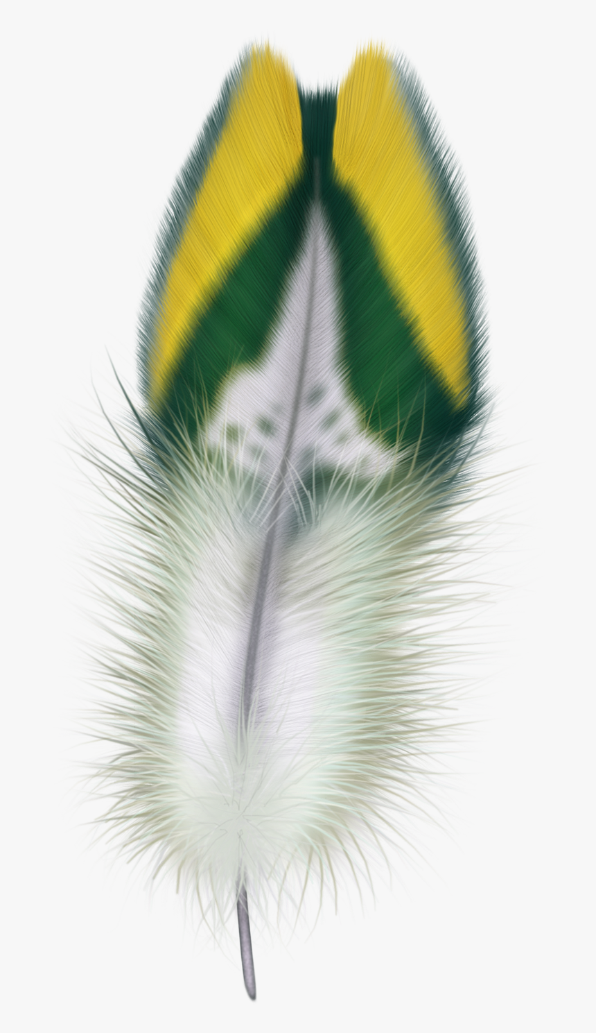 Feathers, HD Png Download