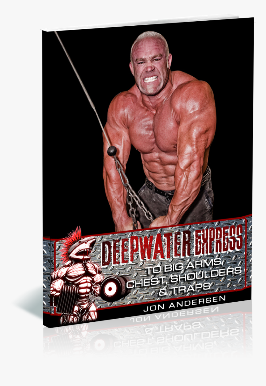 Component - Bodybuilding - Bodybuilding, HD Png Download