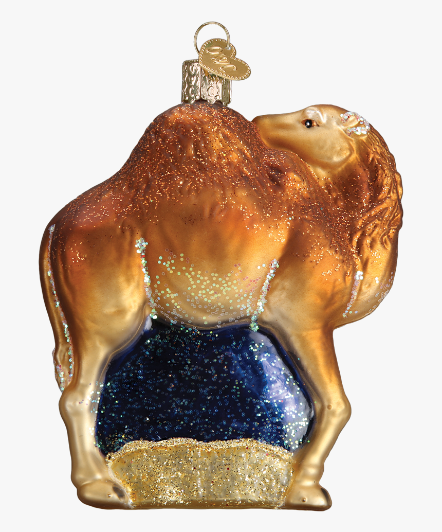 Old World Christmas Pacific Blue Tang Tropical Fish - Arabian Camel, HD Png Download