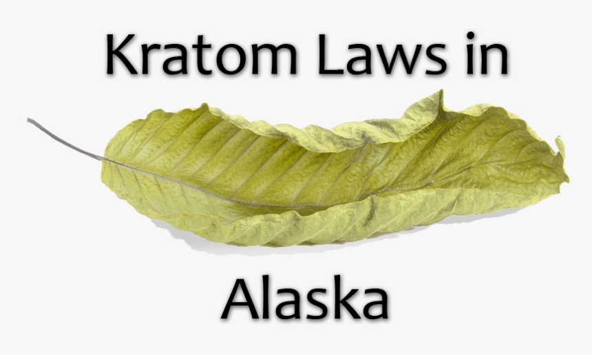 Kratom Laws In Alaska - Sadness, HD Png Download
