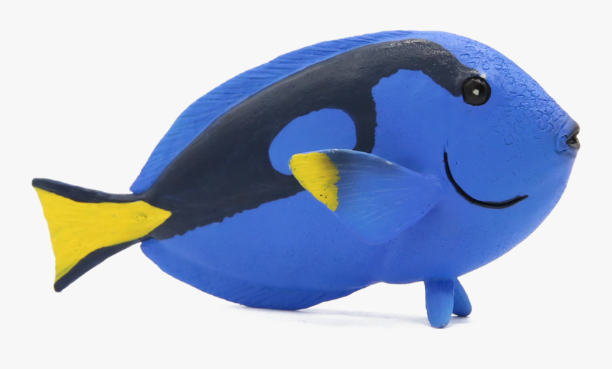 New Mojö 2017 - Pomacentridae, HD Png Download