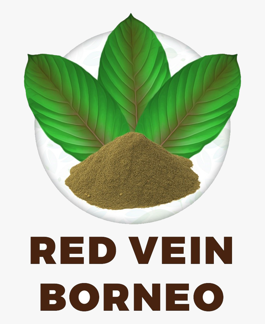 Red Vein Borneo - Saigon Cinnamon, HD Png Download