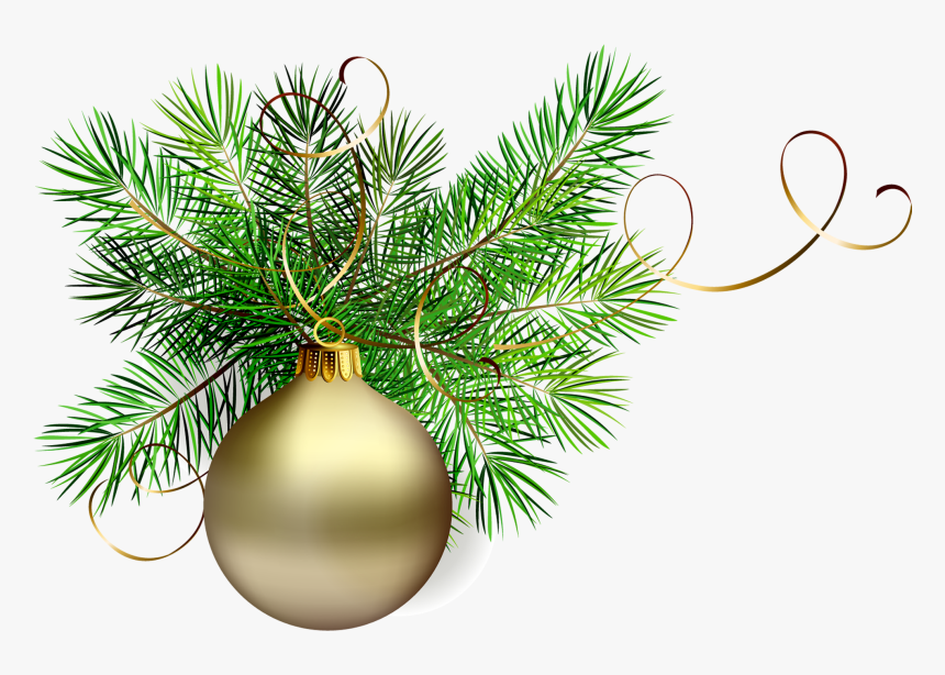Christmas Green Cliparts - Christmas Pine Branch Clipart, HD Png Download