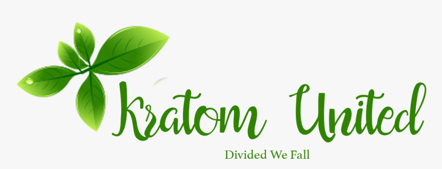 Received - Calligraphy, HD Png Download