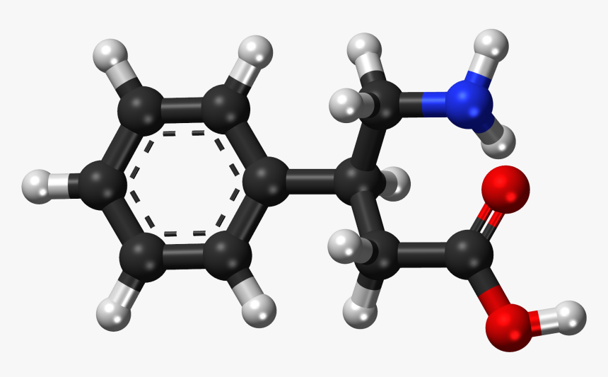 Phenibut Ball And Stick Model - Hydroquinone โครงสร้าง, HD Png Download