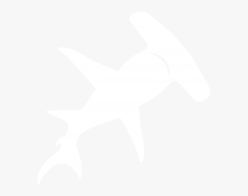 Shark Icon Png White - Shark Icon White Png, Transparent Png