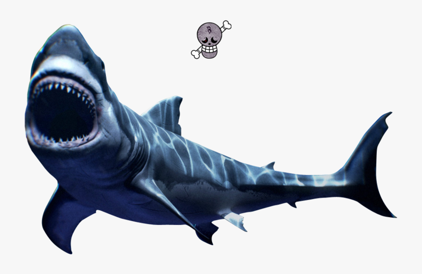 Scary Great White Shark Png - Mako Shark Png, Transparent Png
