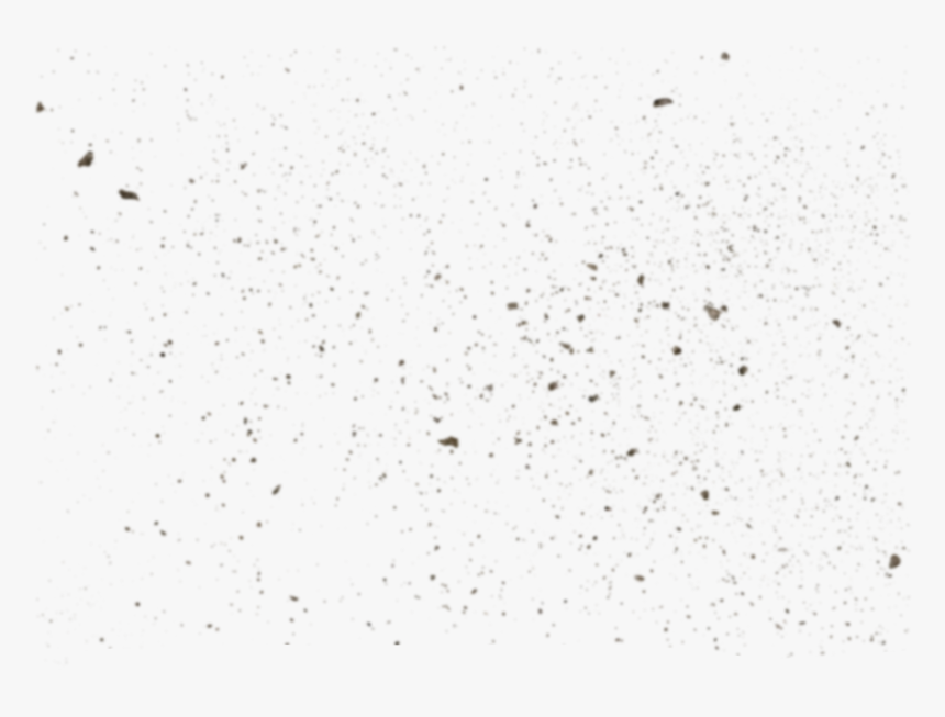 White Black Font - Bird, HD Png Download