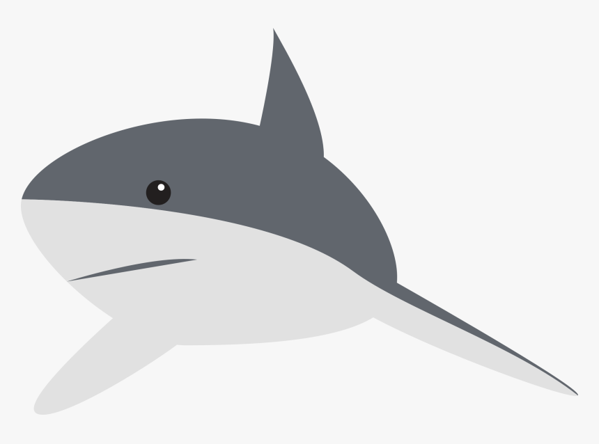 Shark Animation Clip Art - Clipart Cartoon Shark, HD Png Download