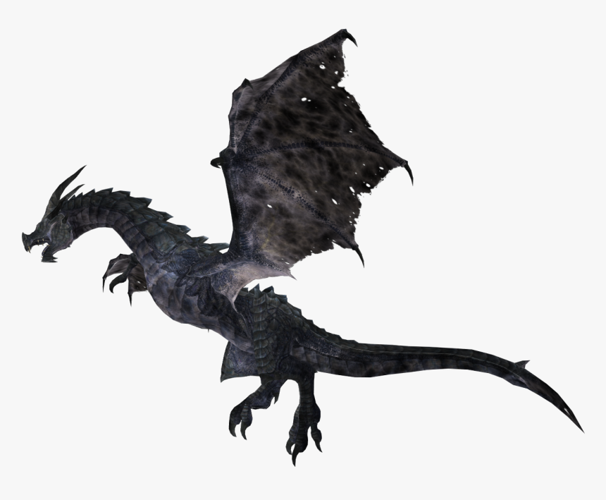 The Elder Scrolls V - Skyrim Dragon Transparent, HD Png Download