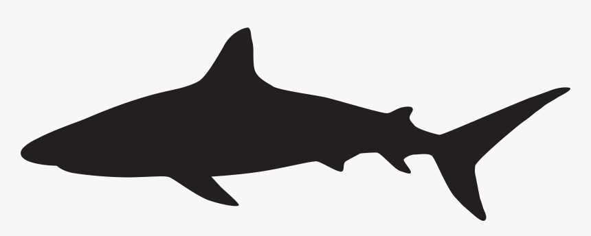 Shark Silhouette At Getdrawings - Shark Silhouette Clipart Black And White, HD Png Download