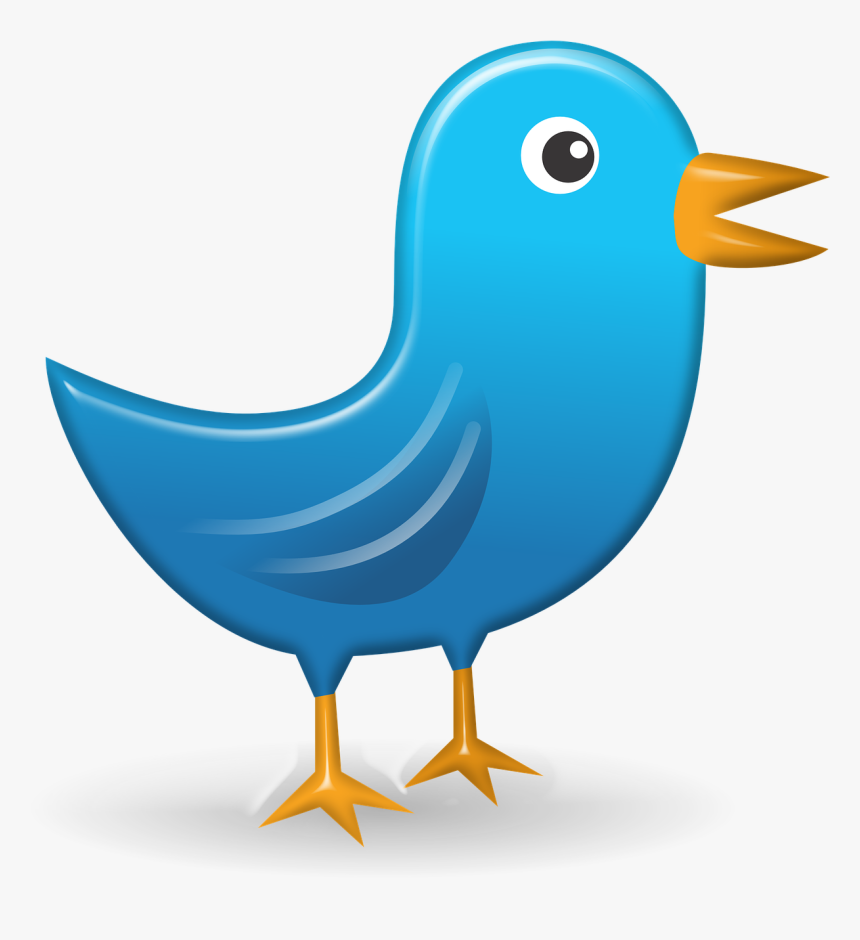 Bird Tweet, HD Png Download