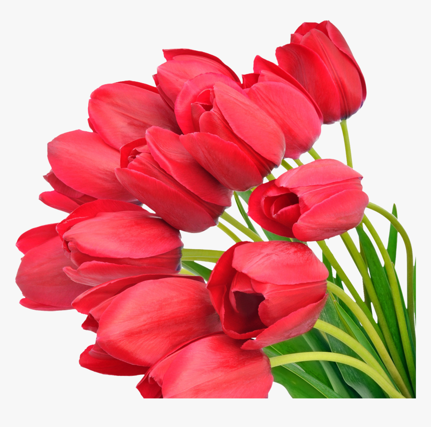 Download For Free Bouquet Of Flowers Icon - S 8 Marta Mama, HD Png Download