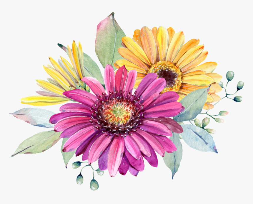 Chrysanthemum Flowers Png Image File - Watercolor Painting, Transparent Png