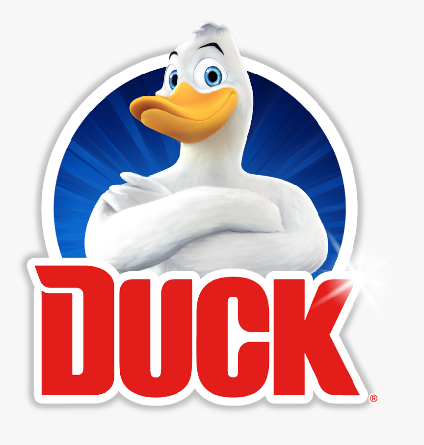 Duck, HD Png Download