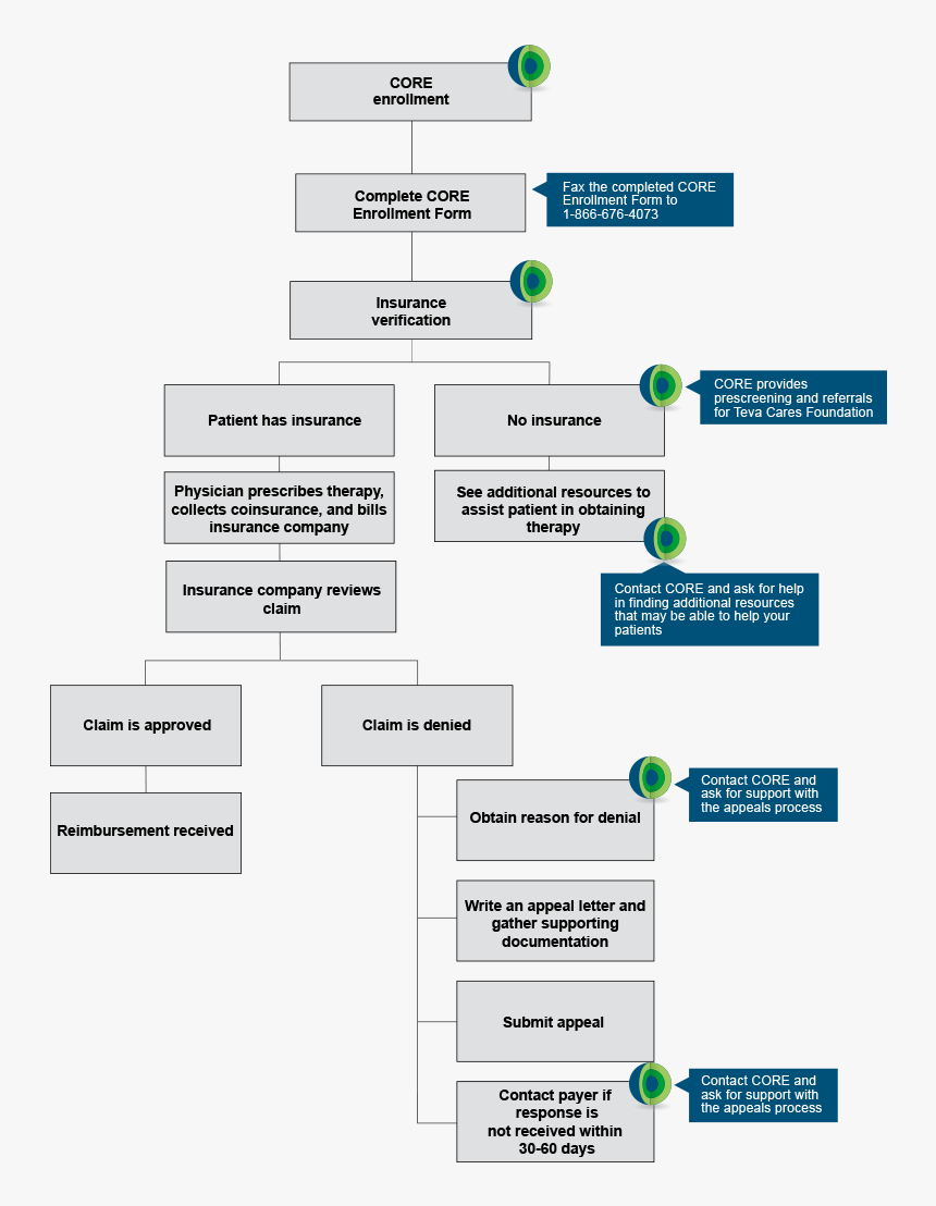 Tevacore Rerimbursement Process Example Chart, HD Png Download