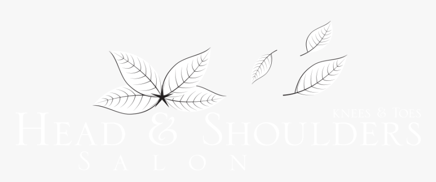 Graphic Design, HD Png Download