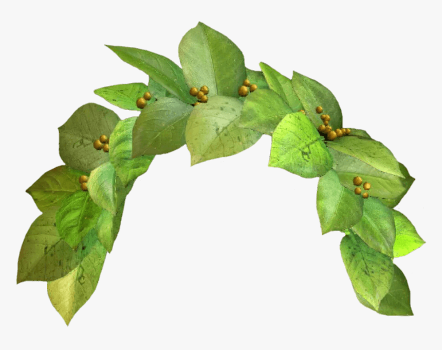 Snapchat Filter Green Crown Clip Arts - Leaf Flower Crown Png, Transparent Png