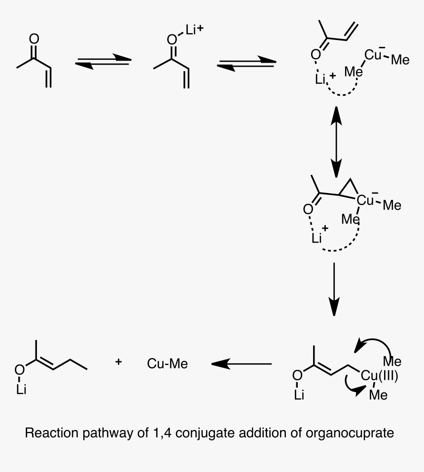1,4 Cuprate Addition, HD Png Download