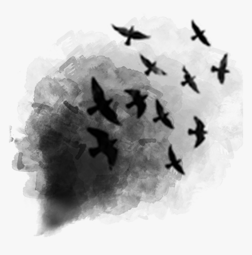 black smoke birds afterdark ftestickers transparent smoke bird png png download transparent png image pngitem black smoke birds afterdark ftestickers